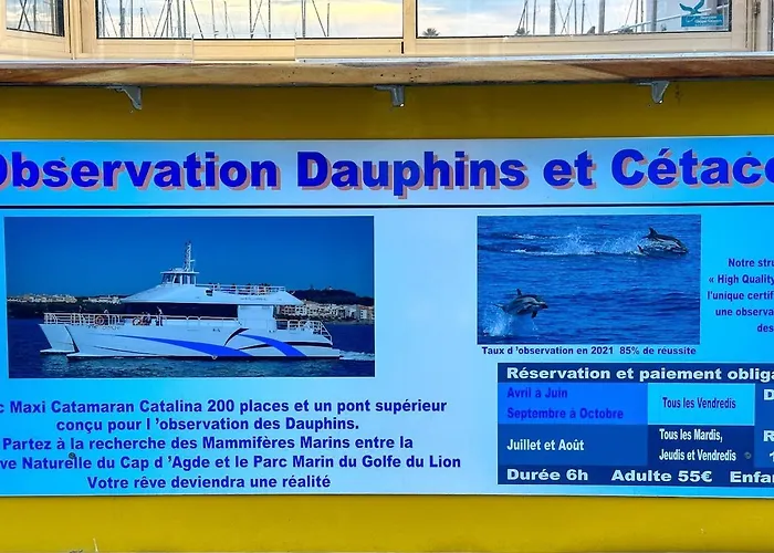 Ravissante Marina Idealement Situee Avec Jacuzzi *